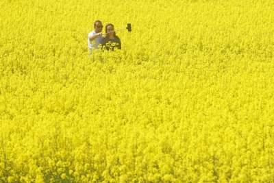 O tej porze najbardziej malownicze okolice Krakowa... - zdjęcie 22
