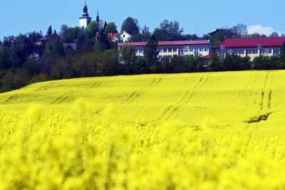 O tej porze najbardziej malownicze okolice Krakowa... - zdjęcie 27