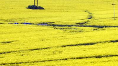 O tej porze najbardziej malownicze okolice Krakowa... - zdjęcie 11
