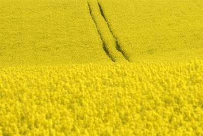 O tej porze najbardziej malownicze okolice Krakowa... - zdjęcie 38