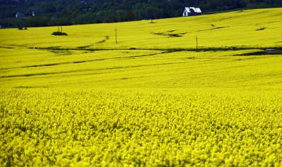 O tej porze najbardziej malownicze okolice Krakowa... - zdjęcie 4