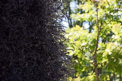 Idealne miejsce dla palaczy, czy osób pracujących w ostrym zapyleniu... - zdjęcie 17