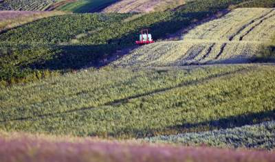 Sułoszowa. O każdej porze roku miejsce magiczne.