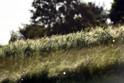 Sułoszowa. O każdej porze roku miejsce magiczne.