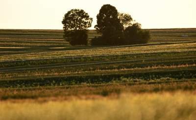Sułoszowa. O każdej porze roku miejsce magiczne.