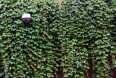 ArtSfera: nowa przestrzeń dla ludzi zaangażowanych w sztukę, fot. Marek Lasyk - zdjęcie 11