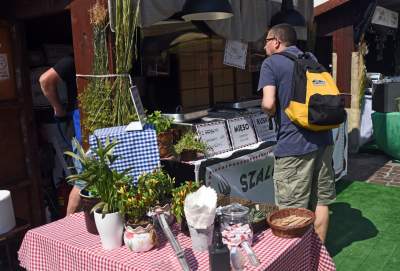 Pierogi z...marihuaną w czasach zarazy. Drogo i z dystansem - zdjęcie 4