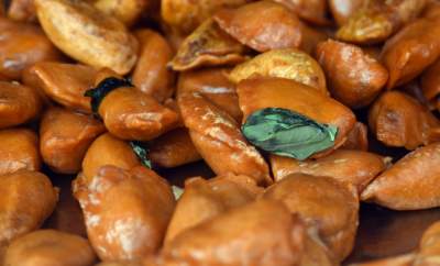 Pierogi z...marihuaną w czasach zarazy. Drogo i z dystansem - zdjęcie 1