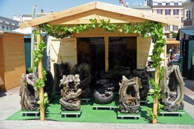 Ta impreza od lat prawie się nie zmienia. Choć w tym roku skromniej... - zdjęcie 19