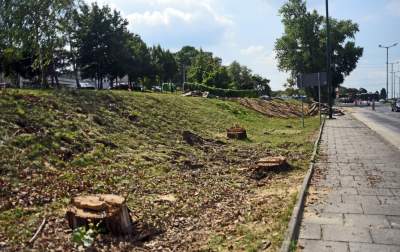 Budowa nowej linii tramwajowej z Krowodrzy Górki do Górki Narodowej.
