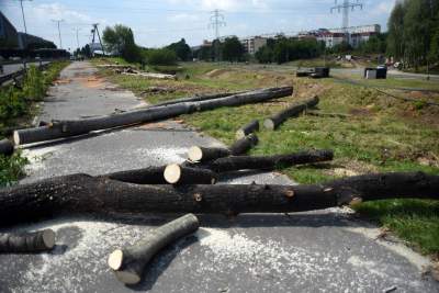 Budowa nowej linii tramwajowej z Krowodrzy Górki do Górki Narodowej.