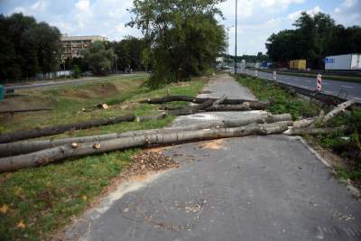 Budowa nowej linii tramwajowej z Krowodrzy Górki do Górki Narodowej.