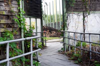 Budowa nowej linii tramwajowej z Krowodrzy Górki do Górki Narodowej.