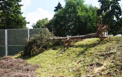 Budowa nowej linii tramwajowej z Krowodrzy Górki do Górki Narodowej.