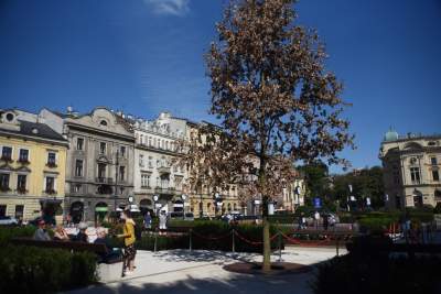 Plac św. Ducha po rewitalizacji - zdjęcie 12