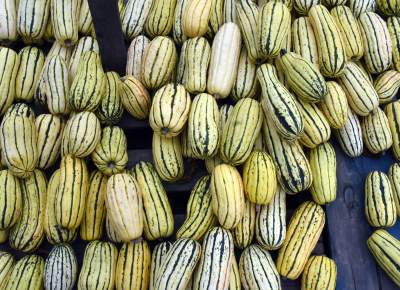 Takie cuda rosną pod Krakowem, sezon w pełni - zdjęcie 15