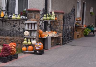 Takie cuda rosną pod Krakowem, sezon w pełni - zdjęcie 24