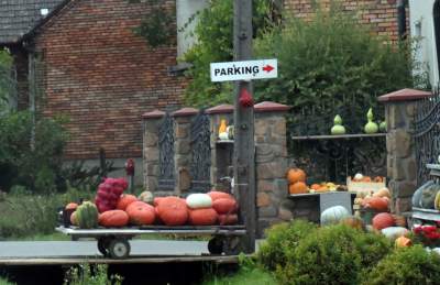 Takie cuda rosną pod Krakowem, sezon w pełni - zdjęcie 22