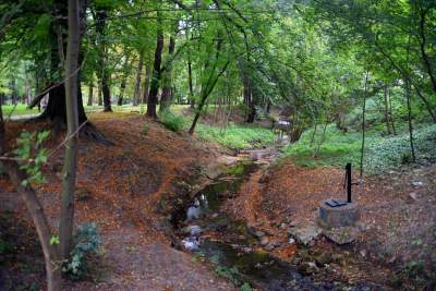 Piękny park z wyjątkową fontanną. Podziwiamy! - zdjęcie 16