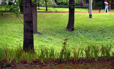 Piękny park z wyjątkową fontanną. Podziwiamy! - zdjęcie 30