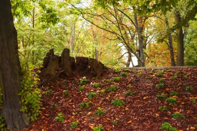 Piękny park z wyjątkową fontanną. Podziwiamy! - zdjęcie 10