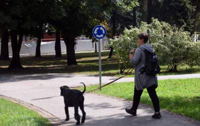Znaki drogowe dla dzieci w parku Św. Wincentego a'Paolo