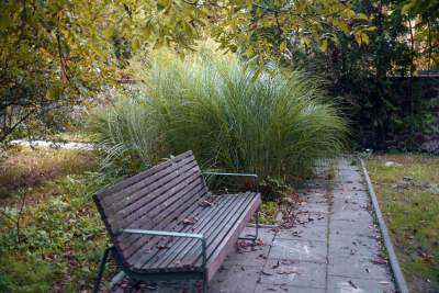 Opuszczony teren zamienili w osiedlowy park. Urocza strefa relaksu - zdjęcie 7