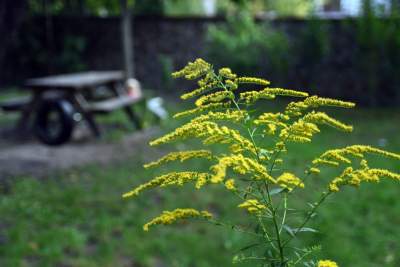 Opuszczony teren zamienili w osiedlowy park. Urocza strefa relaksu - zdjęcie 4