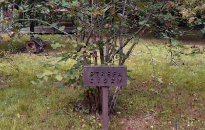 Opuszczony teren zamienili w osiedlowy park. Urocza strefa relaksu - zdjęcie 6