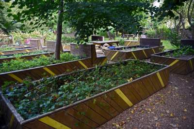 Opuszczony teren zamienili w osiedlowy park. Urocza strefa relaksu - zdjęcie 2