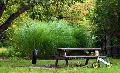 Opuszczony teren zamienili w osiedlowy park. Urocza strefa relaksu - zdjęcie 13