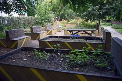 Opuszczony teren zamienili w osiedlowy park. Urocza strefa relaksu - zdjęcie 15