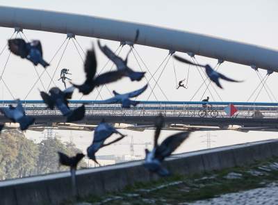 „Między wodą a niebem” wystawa rzeźb balansujących Jerzego Kędziory. Fot. Autor - zdjęcie 19