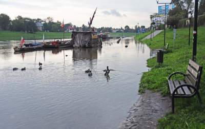 Bulwary wiślane: krajobraz po deszczu - zdjęcie 8