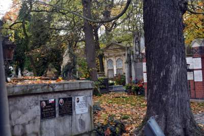 Cmentarz Rakowicki 31.10.2020. - zdjęcie 14