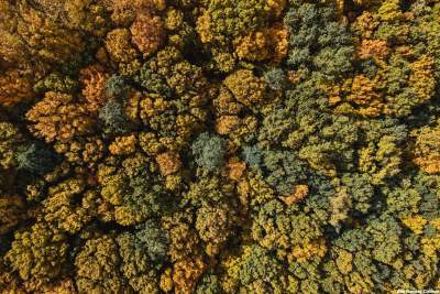 To co widzicie, to naprawdę... Nowa Huta. Odlotowe zdjęcia - zdjęcie 7