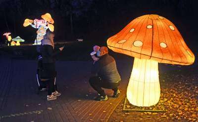 Tu na szczęście nie ma lockdownu... - zdjęcie 24