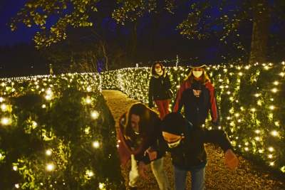 Tu na szczęście nie ma lockdownu... - zdjęcie 1