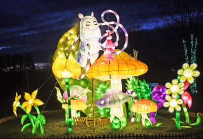 Tu na szczęście nie ma lockdownu... - zdjęcie 28