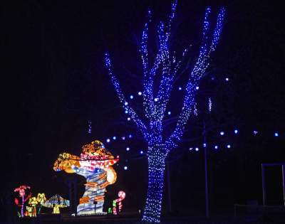 Tu na szczęście nie ma lockdownu... - zdjęcie 53