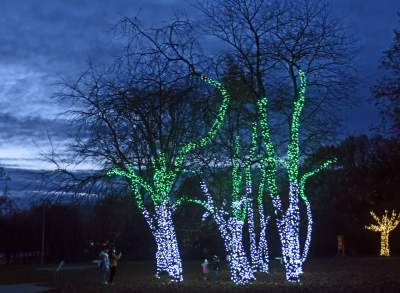 Tu na szczęście nie ma lockdownu... - zdjęcie 14