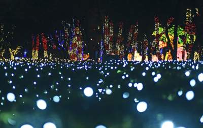 Tu na szczęście nie ma lockdownu... - zdjęcie 44