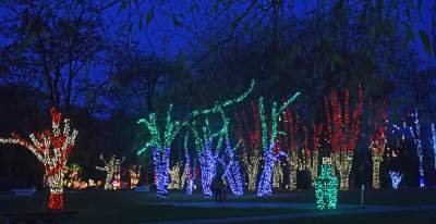 Tu na szczęście nie ma lockdownu... - zdjęcie 12