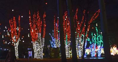 Tu na szczęście nie ma lockdownu... - zdjęcie 54