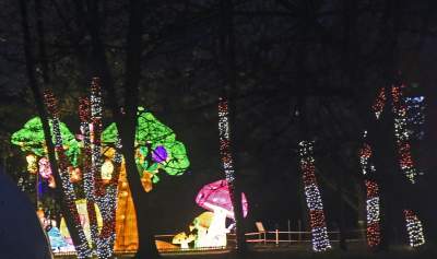 Tu na szczęście nie ma lockdownu... - zdjęcie 36