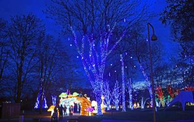 Tu na szczęście nie ma lockdownu... - zdjęcie 26