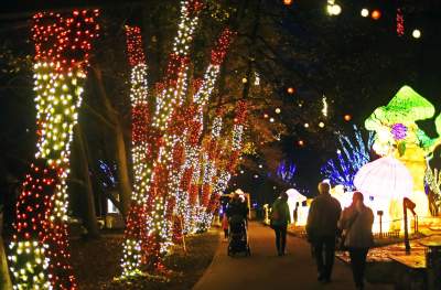 Tu na szczęście nie ma lockdownu... - zdjęcie 47