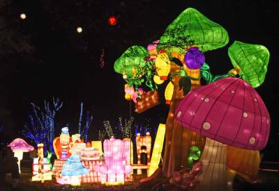 Tu na szczęście nie ma lockdownu... - zdjęcie 49