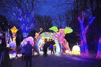 Tu na szczęście nie ma lockdownu... - zdjęcie 20