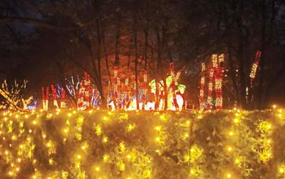 Tu na szczęście nie ma lockdownu... - zdjęcie 40